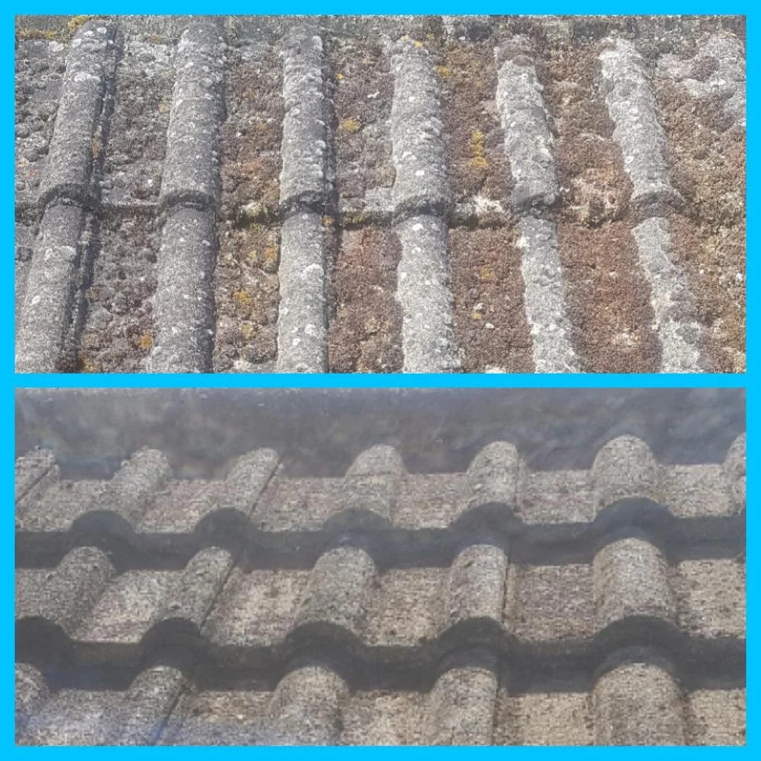 Exterior cleaning job