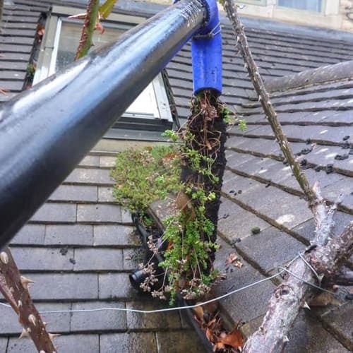 Gutter Cleaning job