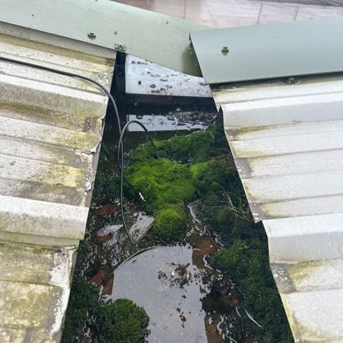 Exterior cleaning job