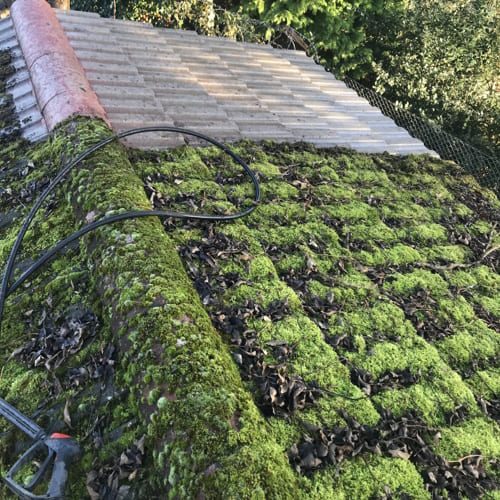 Exterior cleaning job