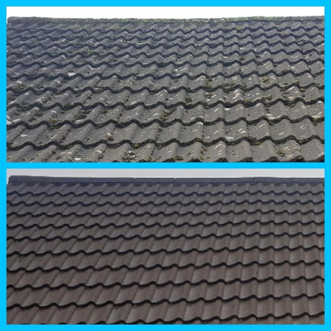 Exterior cleaning job