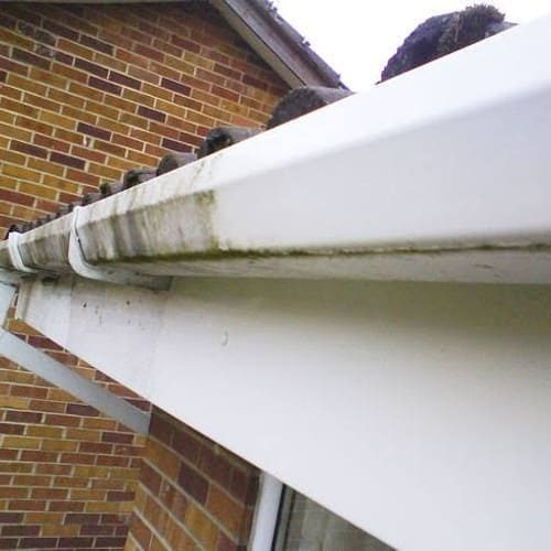 Exterior cleaning job